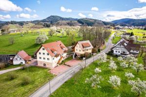 uma vista aérea de uma aldeia com casas em Ferienhof Vordere Alm em Oberkirch