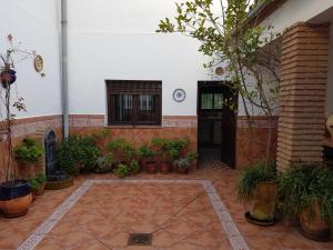 a room with a bunch of potted plants and a door at Casa de la Fuente in Almonaster la Real