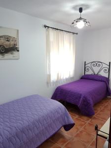 two beds in a bedroom with purple sheets and a window at Casa de la Fuente in Almonaster la Real