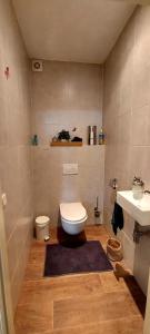 uma pequena casa de banho com WC e lavatório em Bed&Breakfast Kamersven em Maarheeze