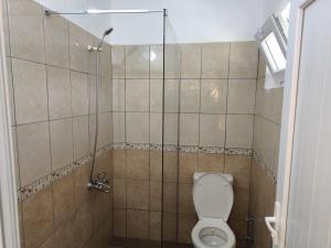 a bathroom with a toilet and a shower at Fire Pansiyon in Cıralı