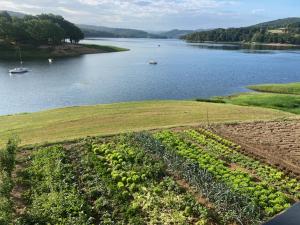 Gallery image of LES TERRASSES DU LAC in Chaumard