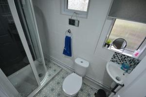 a small bathroom with a toilet and a sink at Waen las Cabin in Denbigh +17 photos