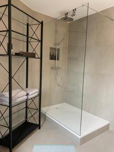 a shower with a glass door in a bathroom at Stilvolles Appartement im Herzen Bambergs in Bamberg