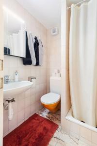 uma casa de banho com um WC, um lavatório e um chuveiro em Charmante Wohnung an beliebter, urbaner Lage em Zurique