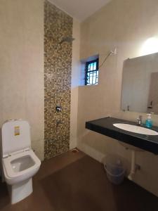 a bathroom with a toilet and a sink and a mirror at Sea View Apartments , Mandrem Beach in Mandrem