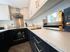 a kitchen with blue cabinets and a counter top at Last minute discounts City Centre Business in Plymouth