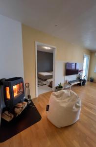 a living room with a fireplace and a couch at Luxury Service Apartment by Chanya in Ålesund