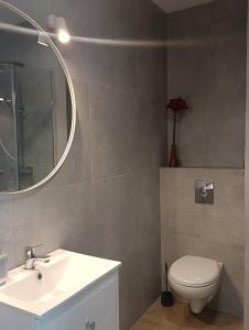 La salle de bains est pourvue d'un lavabo, de toilettes et d'un miroir. dans l'établissement NOWY Apartament Bitwy Warszawskiej, à Siedlce