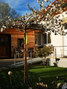 a tree with white flowers in a yard at Il Giardino in Ilmmünster