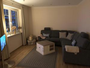 a living room with a couch and a tv at Haus Hyggelig direkt am Großen Zechliner See in Rheinsberg