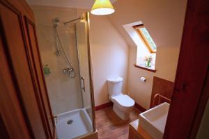 a bathroom with a shower and a toilet and a sink at Woodlands House in Ballachulish