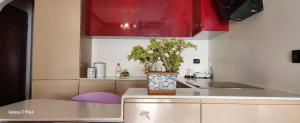 eine Küche mit roten Schränken und einer Topfpflanze auf der Theke in der Unterkunft Paradise apartments in Sarandë