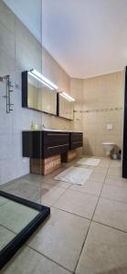 een badkamer met een douche, een wastafel en een spiegel bij Apartment Royal Palm Resort in Willemstad