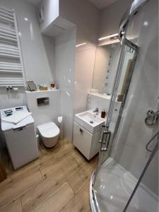 y baño con ducha, aseo y lavamanos. en Apartament 215 - Modern Tower Gdynia, en Gdynia