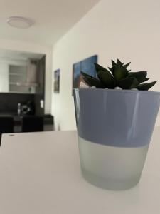 a potted plant sitting on top of a table at Ferienwohnung Leonie in Rottweil in Rottweil