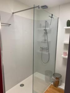 クノック・ヘイストにあるSleutelVan8のバスルーム(ガラスドア付きのシャワー付)