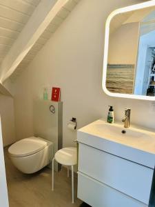 uma casa de banho com um WC, um lavatório e um espelho. em Ruhe Oase am Riesrand em Unterschneidheim