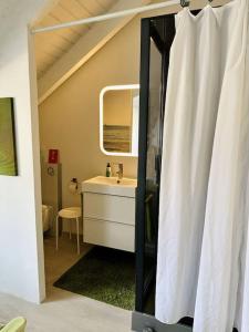 a bathroom with a sink and a mirror at Ruhe Oase am Riesrand in Unterschneidheim