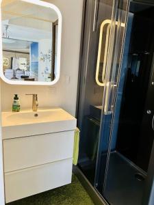a bathroom with a shower and a sink and a mirror at Ruhe Oase am Riesrand in Unterschneidheim