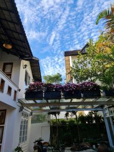 Κήπος έξω από το VILLA KIM GIA ĐÀ LẠT