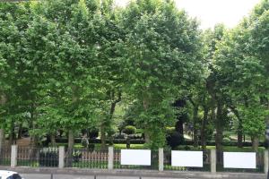 a group of trees behind a fence with white signs at Iria Gardens in Padrón