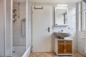a bathroom with a sink and a shower at Kranichhorst 7 in Buchholz +14 photos