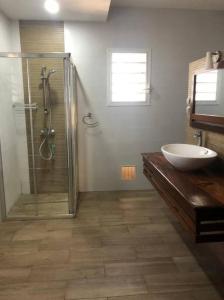 Foulpointe的住宿－VILLA - MER - PISCINE - JARDIN，带淋浴、盥洗盆和盥洗盆的浴室