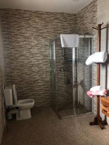 a bathroom with a shower and a toilet at VILLA - MER - PISCINE - JARDIN in Foulpointe +23 photos