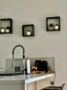 a kitchen counter with a sink and three plants on the wall at Maison d'hôtes chic à Beauzelle in Beauzelle