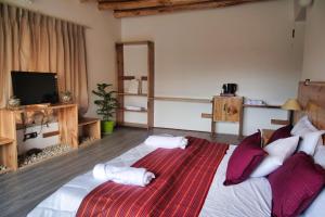 a bedroom with a large bed and a television at The Hermit Homestay in Leh