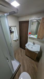 a bathroom with a sink and a toilet and a mirror at Ze Oni Glamping in Tbilisi City