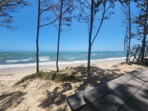 a bench sitting on top of a sandy beach at Beach Shed with Pizza Oven in Toogoom