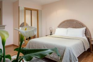 a bedroom with a bed with white sheets and a plant at Motel Bambú in Lugo