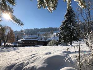 Das Schwarzwaldhotel v zimě