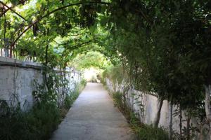 an archway of trees over a sidewalk at Albora Guest House in Fier