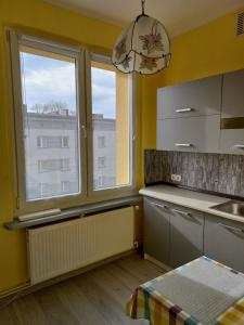 een keuken met gele muren en 2 ramen en een wastafel bij mieszkanie Tarnowskie Góry obok sądu in Tarnowskie Góry