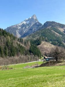 een groen veld met een berg op de achtergrond bij Eisenerz Alpine Resort RoSy in Eisenerz