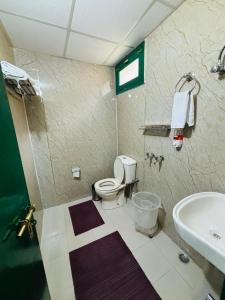 een badkamer met een toilet en een wastafel bij Himalayan High, Auli, By Himalayan Eco Lodges in Joshimath