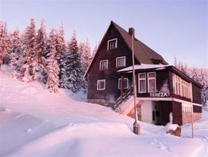 een gebouw in de sneeuw naast enkele bomen bij Vila Tereza in Špindlerův Mlýn