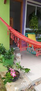 a hammock on a front porch of a house at Suíte completa em condomínio fechado in Petrolina
