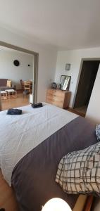 sypialnia z dużym łóżkiem i jadalnią w obiekcie Appartement lumineux et cosy proche de Genève w mieście Veigy-Foncenex