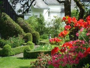 un jardín con flores rojas y arbustos frente a una casa en Welcome Home, en Winterberg