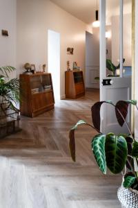 a living room with wooden floors and a plant at Maison Grand Sable in Veules-les-Roses