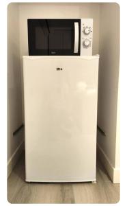 een magnetron bovenop een witte koelkast bij Les Garennes in Rillieux