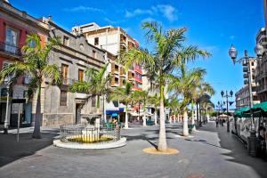 una strada cittadina con palme e edifici di Tantulia Callao 57 Apto 5hab centro de la capital en tenerife a Santa Cruz de Tenerife