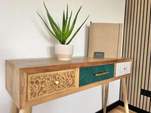 a potted plant sitting on top of a wooden dresser at *75qm* Stilvolle Wohnung + Wärmekabine+Netflix in Petershagen +17 photos