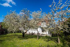 Billede fra billedgalleriet på Squash Apartments & Studios i Siófok + 59 billeder