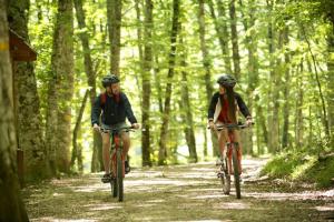 two people riding bikes on a trail in the woods at Hotel Vela Velo Club Vieste in Vieste
