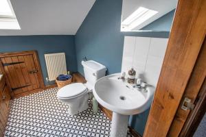 a bathroom with a toilet and a sink at Fern Cottage at Hewish Mill in Bittadon